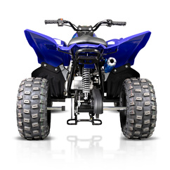 Raptor 110