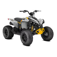 Renegade 110